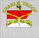 c_1_9_cav_small